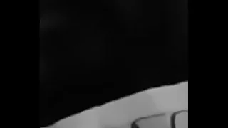 Papi crimes