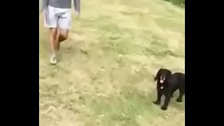 joyous Bulgu &comma; bulto public joyous &comma;gay public